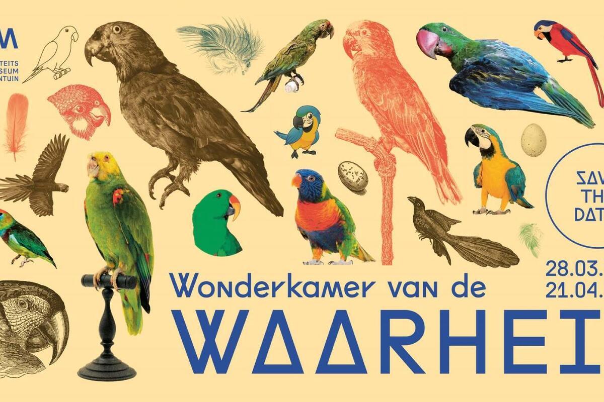 Wonderkamer van de WAARHEID | OKV